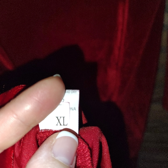 Elegant Velvet Long Sleeve Red Dress - Picture 3 of 3